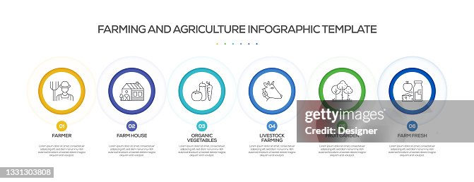 Farming And Agriculture Related Process Infographic Template Process ...