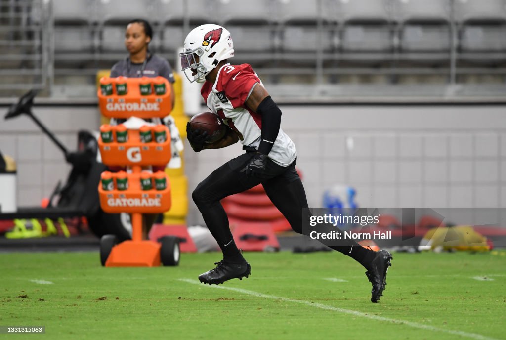 Arizona Cardinals Training Camp