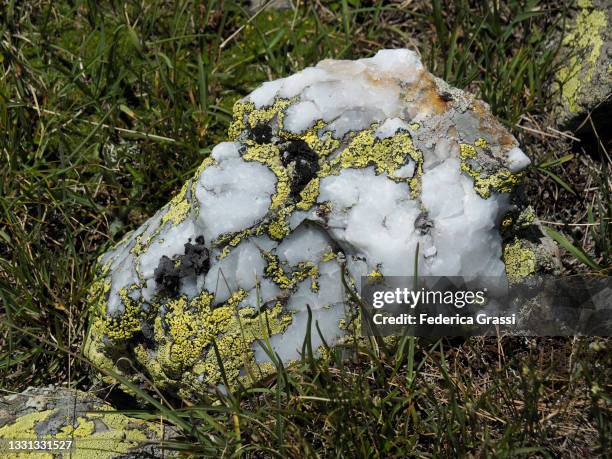 yellow lichens on a white quartzite rock at sirwoltesee near simplon pass (passo del sempione) - quartz stock-fotos und bilder