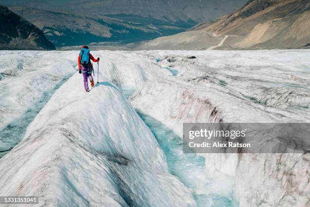 mountaineer walks along side of glacier stream on the athabasca glacier - columbia icefield stock pictures, royalty-free photos & images