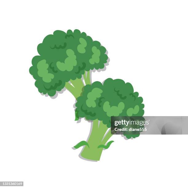 isolated broccoli - broccoli stock illustrations
