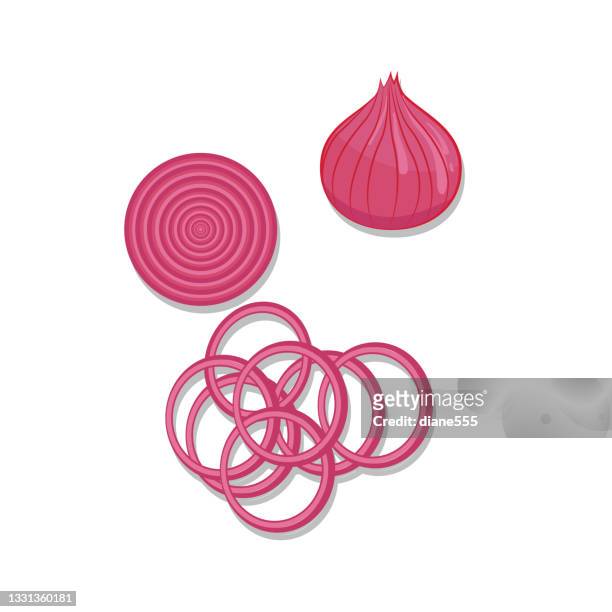 isolated red onion - cutting red onion stock illustrations