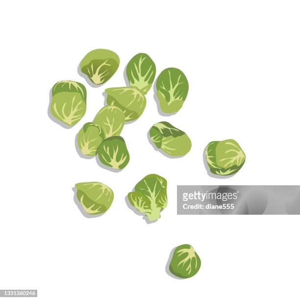 isolated brussel sprouts - sprout stock illustrations
