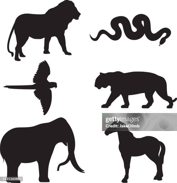 ilustrações de stock, clip art, desenhos animados e ícones de zoo animal silhouettes 3 - lion situation