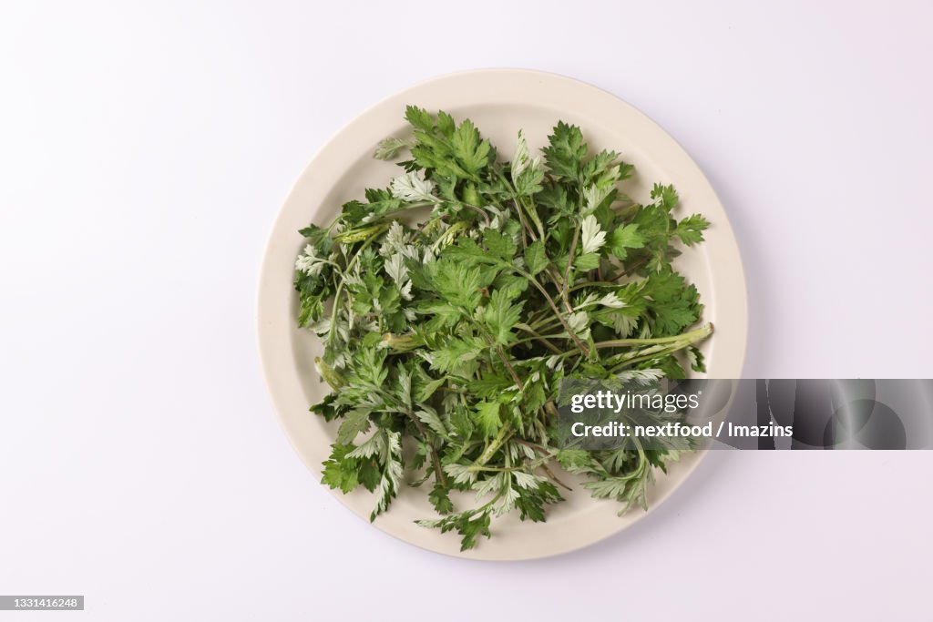 Korean Mugwort