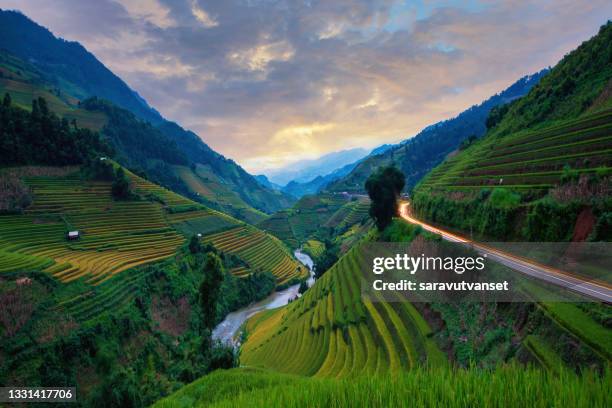 river through a valley with terraced rice fields, mu cang chai, yen bai, vietnam - mù cang chải stock pictures, royalty-free photos & images