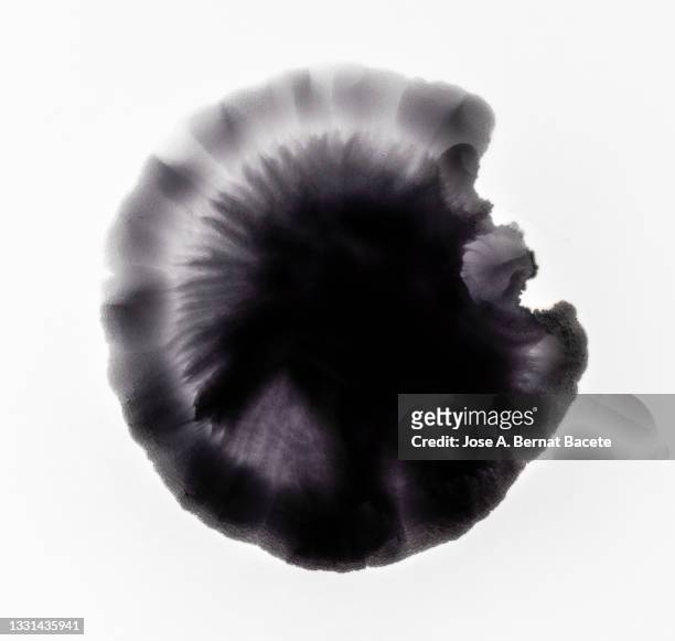 splashes of a drop of black paint on a white canvas. - black watercolor stockfoto's en -beelden