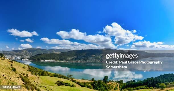 dunedin. otago harbour - dunedin new zealand stock pictures, royalty-free photos & images