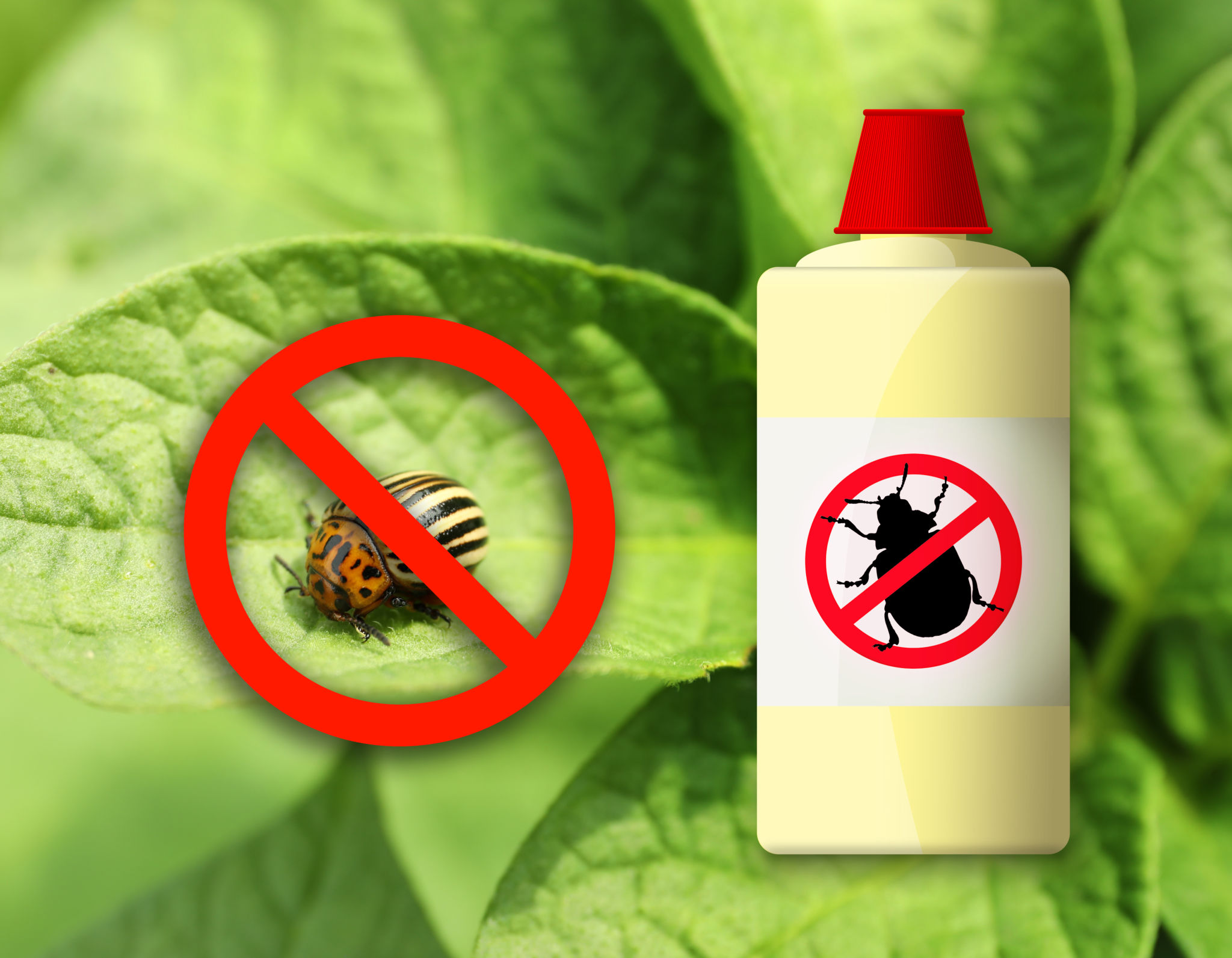 eco-friendly-pest-control
