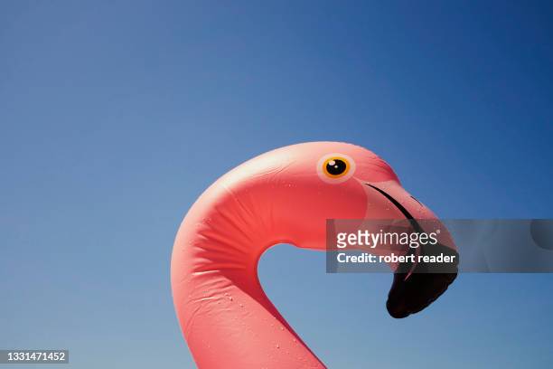 inflatable pink flamingo on beach - flamenco fotografías e imágenes de stock