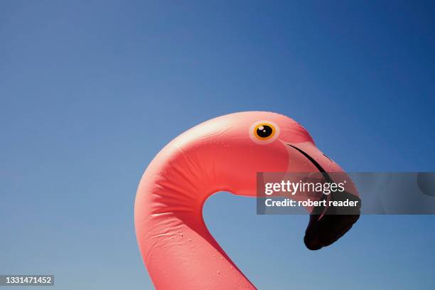 inflatable pink flamingo on beach - inflatable 個照片及圖片檔