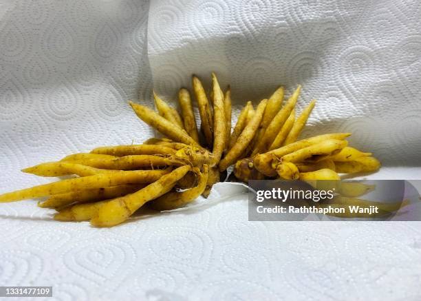 fingerroot on white background. - tumeric root isolated stock pictures, royalty-free photos & images