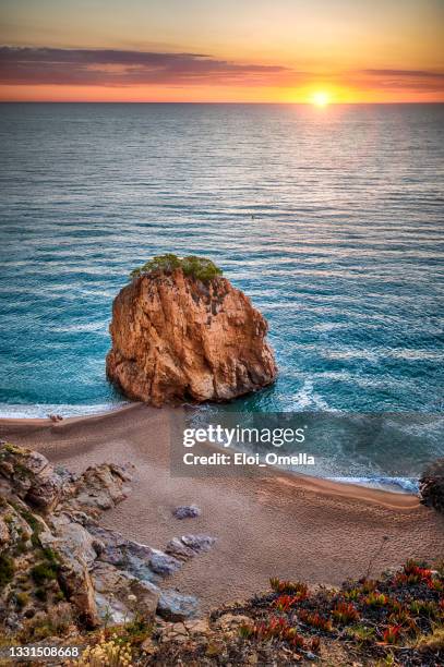 cala de l'illa roja beach in begur, costa brava, catalonia, spain - barcelona province stock pictures, royalty-free photos & images