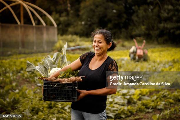 family farming of organic products - organic farmer stock pictures, royalty-free photos & images