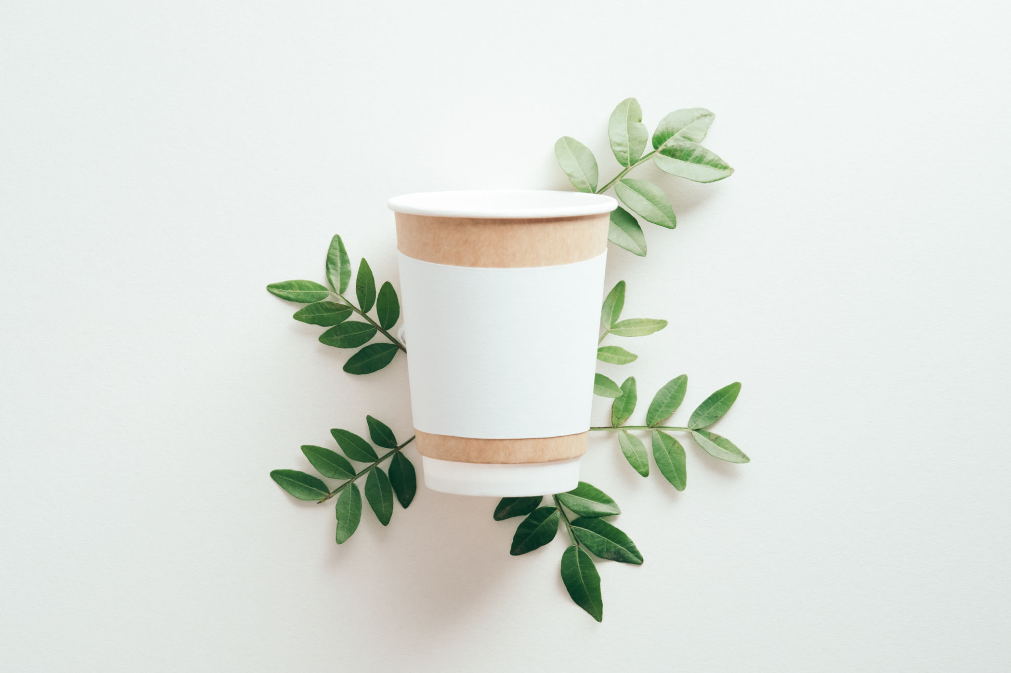 sustainable coffee