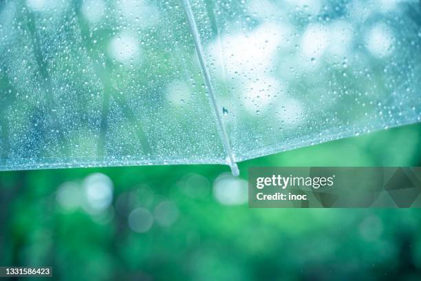 Umbrella Getting Rained On Umbrella With Rain Drops Photos and Premium High Res Pictures - Getty ...