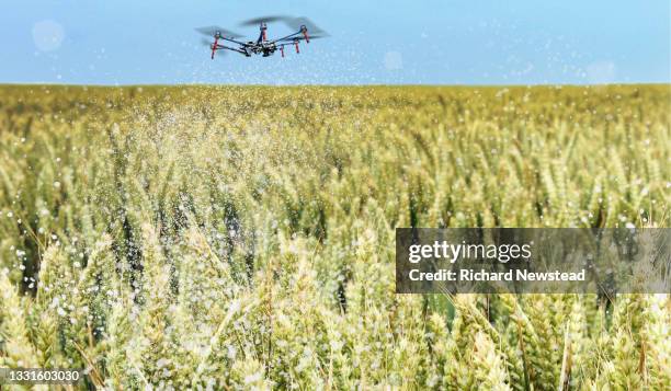 crop spraying drone - flying drone stock-fotos und bilder