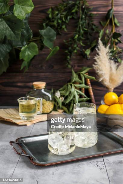 homemade lemon and elderflower lemonade with ice - lemon soda stock pictures, royalty-free photos & images