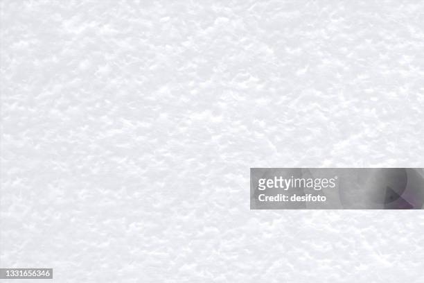 ilustrações de stock, clip art, desenhos animados e ícones de vector illustration of a blank, empty white colored all over froth textured horizontal backgrounds - pele de animal