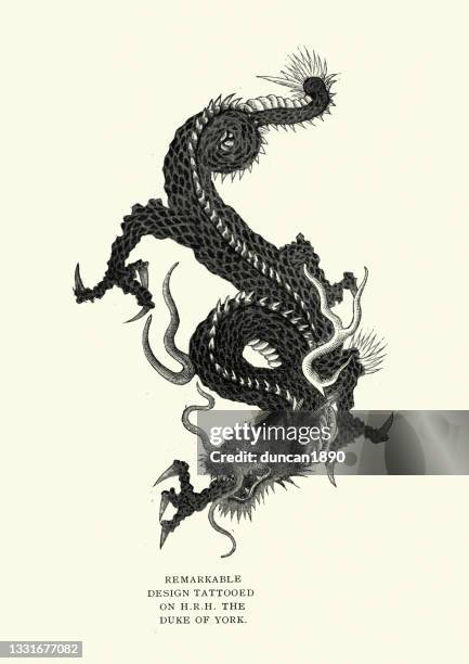 ilustraciones, imágenes clip art, dibujos animados e iconos de stock de diseño de tatuaje de dragón japonés, siglo 19 - dragon chino