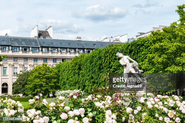 jardins du palais royal in paris - jardin du palais royal stock-fotos und bilder