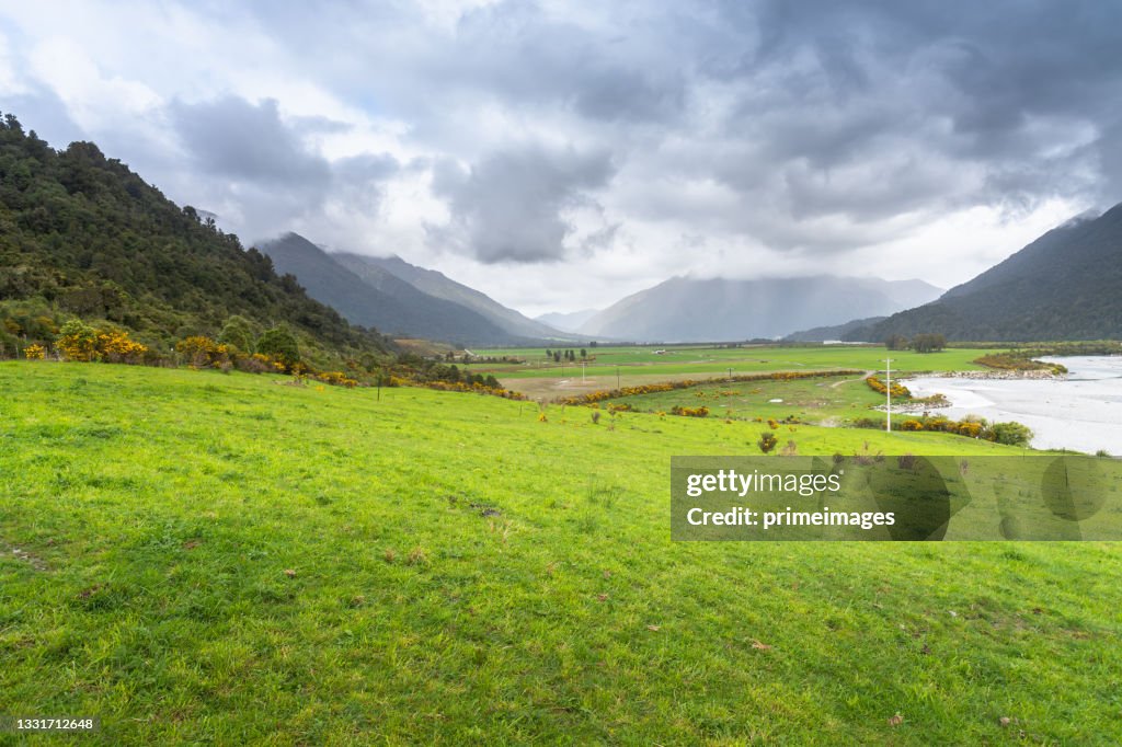 Natural landscape with green meadow at new zealand