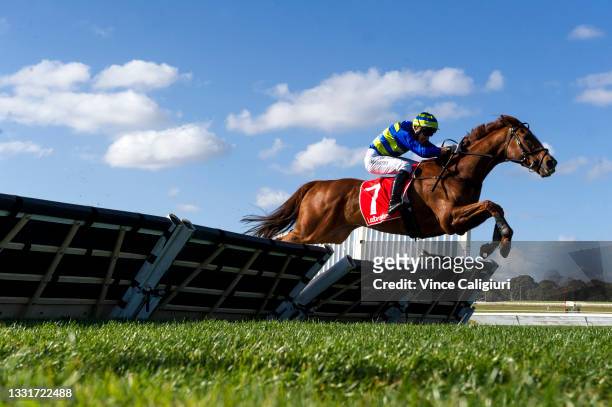 William McCarthy riding Wil John winning race 5, the Grand National Hurdle during Melbourne Racing at Sandown Lakeside on August 01, 2021 in...
