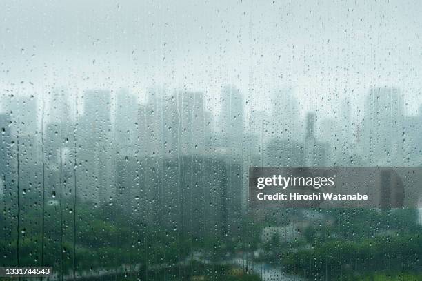 city view with greenery spreading on a rainy day - shower ストックフォトと画像