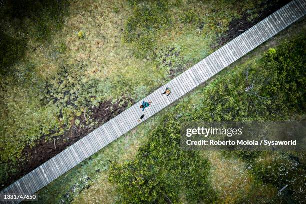 hikers with dog on footpath from above, dolomites - pov walking stockfoto's en -beelden