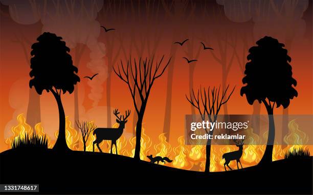 bildbanksillustrationer, clip art samt tecknat material och ikoner med fire night and wild animal silhouette vector. flat vector illustration of dangerous forest fires in mountain area. fire flame and burning trees concept. fire lit by humans. animal life is threatened. - kronhjort