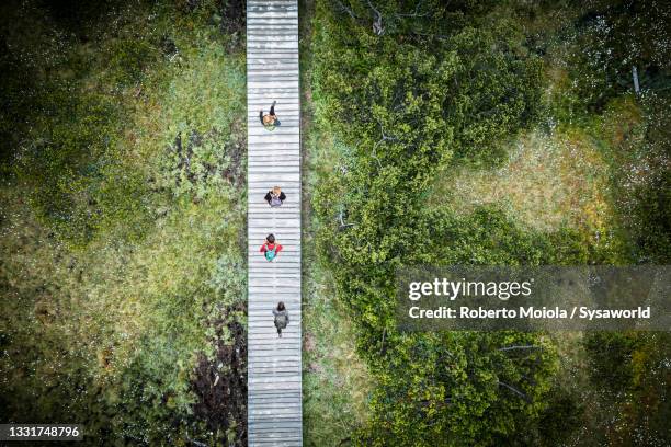 hikers in biotopo monte covolo-nemes nature park - vue subjective de drone photos et images de collection