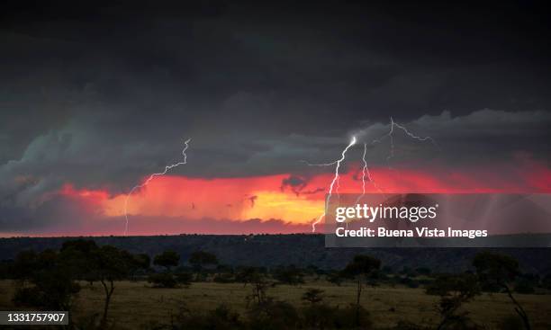 african sunset with lightning - africa sunset stock pictures, royalty-free photos & images