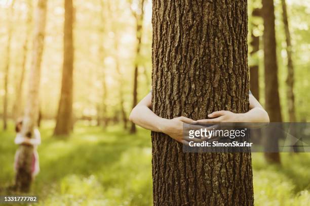 kids embracing tree trunks in forest - child hugging tree stock pictures, royalty-free photos & images