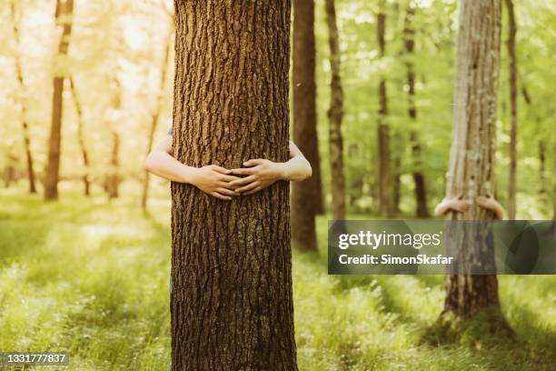 dos personas abrazando árboles en el bosque - anonymous activist network fotografías e imágenes de stock
