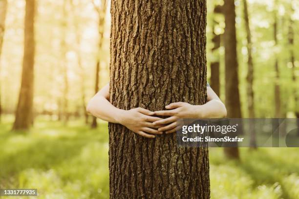 niño abrazando árbol en el bosque - anonymous activist network fotografías e imágenes de stock