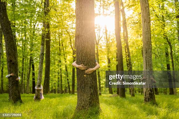 family embracing tree trunks in the forest - child hugging tree stock pictures, royalty-free photos & images