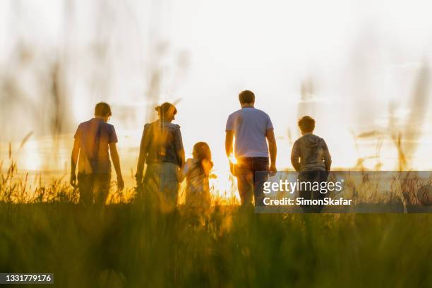famiglia con tre bambini che camminano sul campo di erba - five people foto e immagini stock