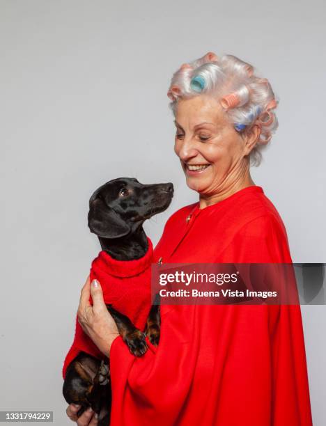 senior woman holding her dog - hound stock pictures, royalty-free photos & images