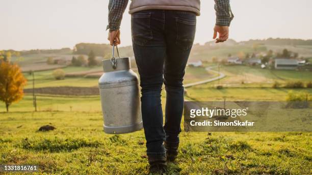agriculteur transportant une cartouche de lait sur le terrain - bidon de lait photos et images de collection