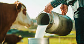 Male farmer pouring milk in canister at dairy farm