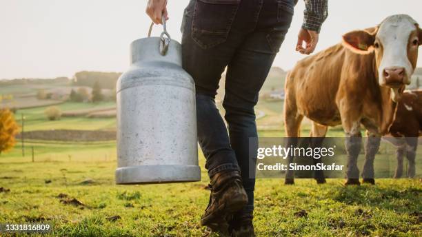 bauer, der milchkanister mit kühen auf dem feld trägt - bucket stock-fotos und bilder