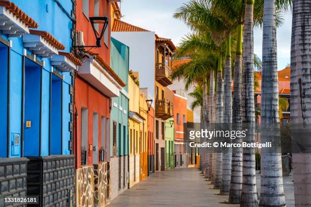 colorful houses and treelined palm trees, tenerife, spain - ville de santa cruz de tenerife bildbanksfoton och bilder