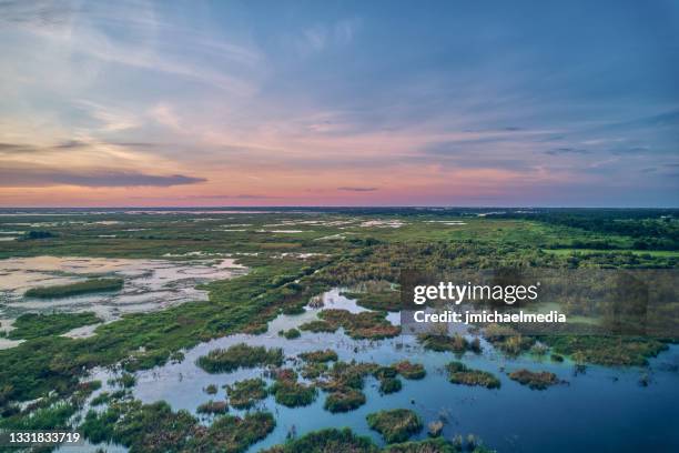 lake apopka - apopka stock pictures, royalty-free photos & images