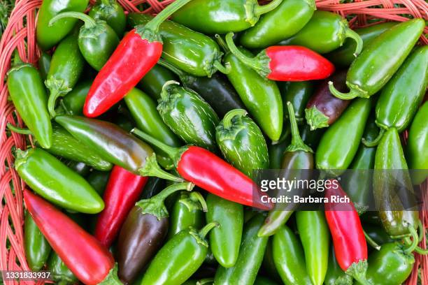 close-up of colorful jalapeno peppers freshly harvested from the garden ready for market - ハラペーニョ ストックフォトと画像