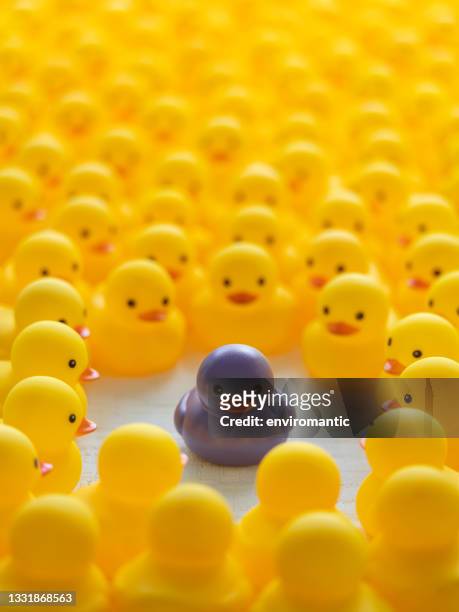 many generic yellow rubber ducks in a large crowd surrounding and staring at a similar rubber duck, that is purple instead of yellow - reputation stock pictures, royalty-free photos & images