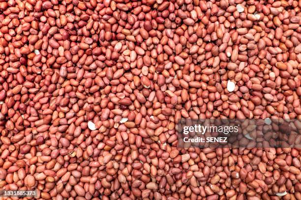 peanut without shell - peanut crop stock pictures, royalty-free photos & images