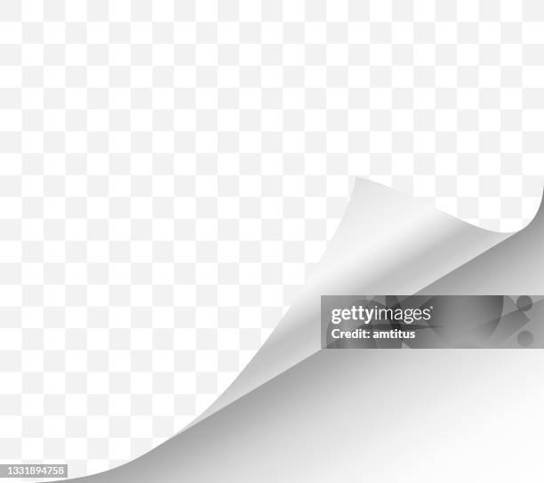 ilustraciones, imágenes clip art, dibujos animados e iconos de stock de rizo de página blanco - skin