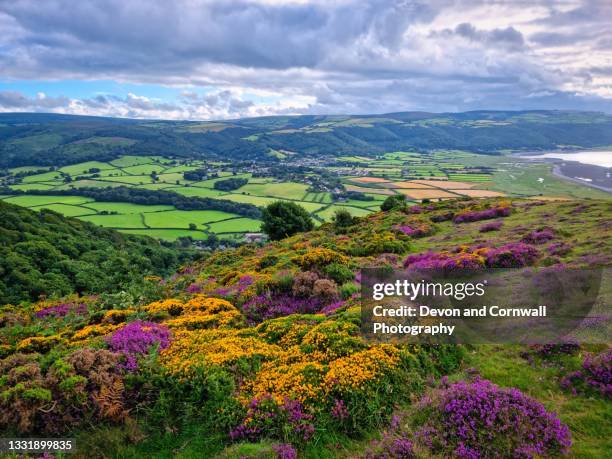 exmoor, somerset - somerset stock pictures, royalty-free photos & images