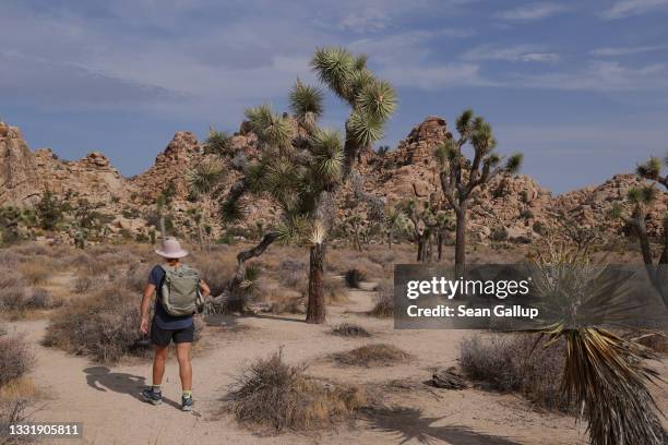 Visitor walks among Joshua trees in Joshua Tree National Park on July 22, 2021 near Twentynine Palms, California. The park is among California's most...
