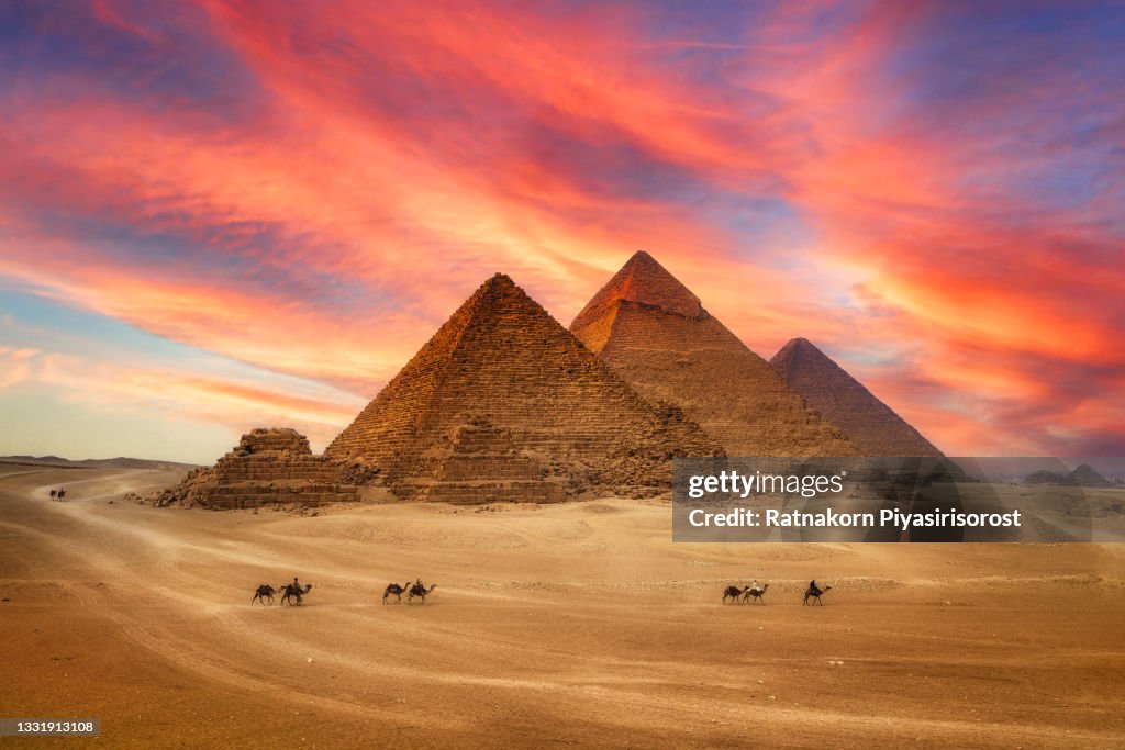 Great Pyramids and The camel caravan is in front of the Egyptian pyramids, Giza, Egypt